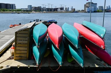 12 Types of Kayaks: Choosing the Right One for You - Neighbor Blog